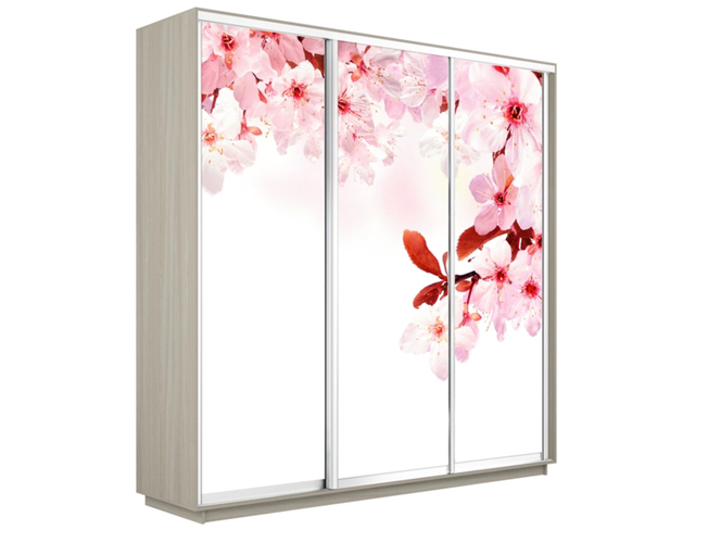 Шкаф-купе Экспресс 3-х дверный (Фото №1023 Сакура), Ясень Шимо светлый